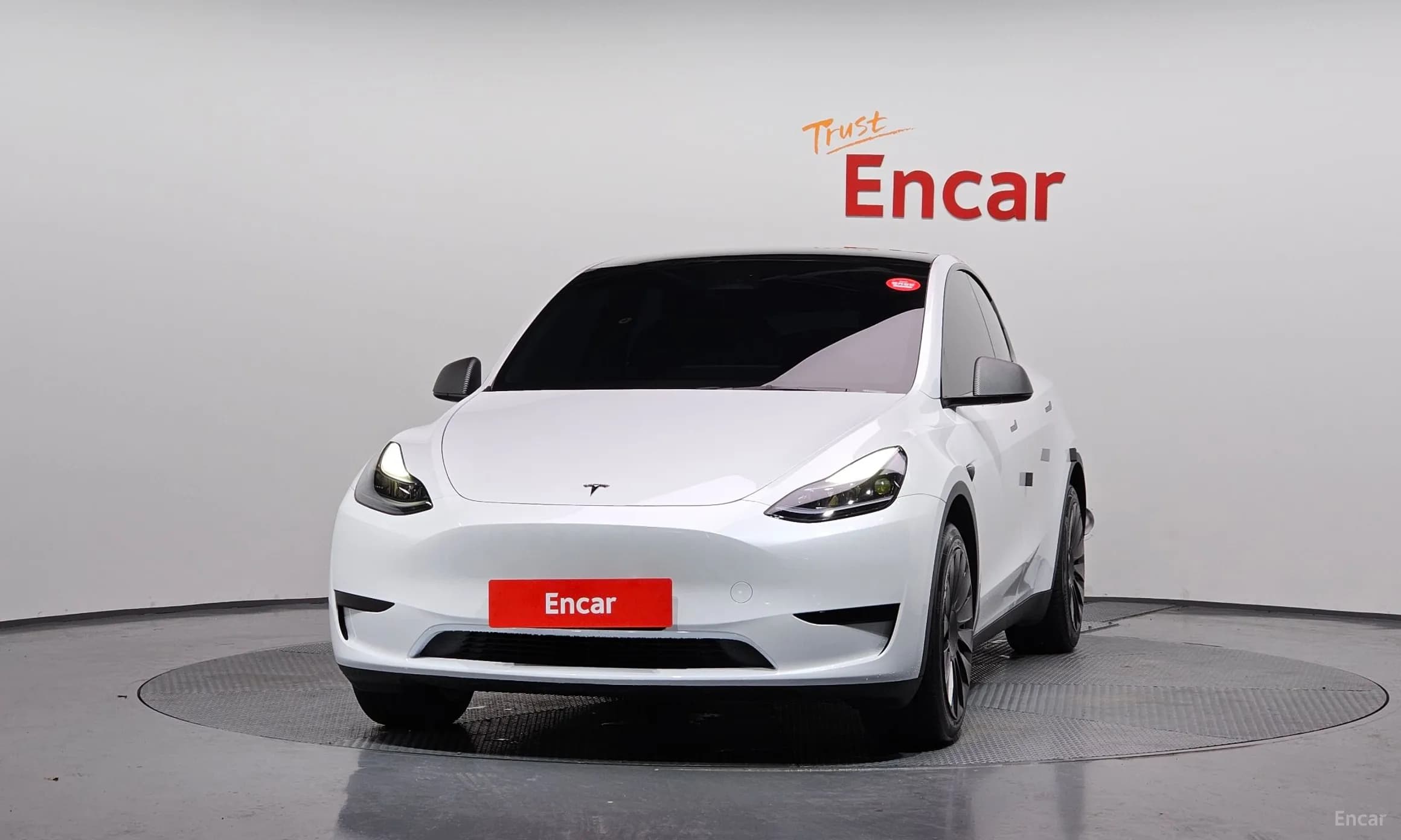 Model Y