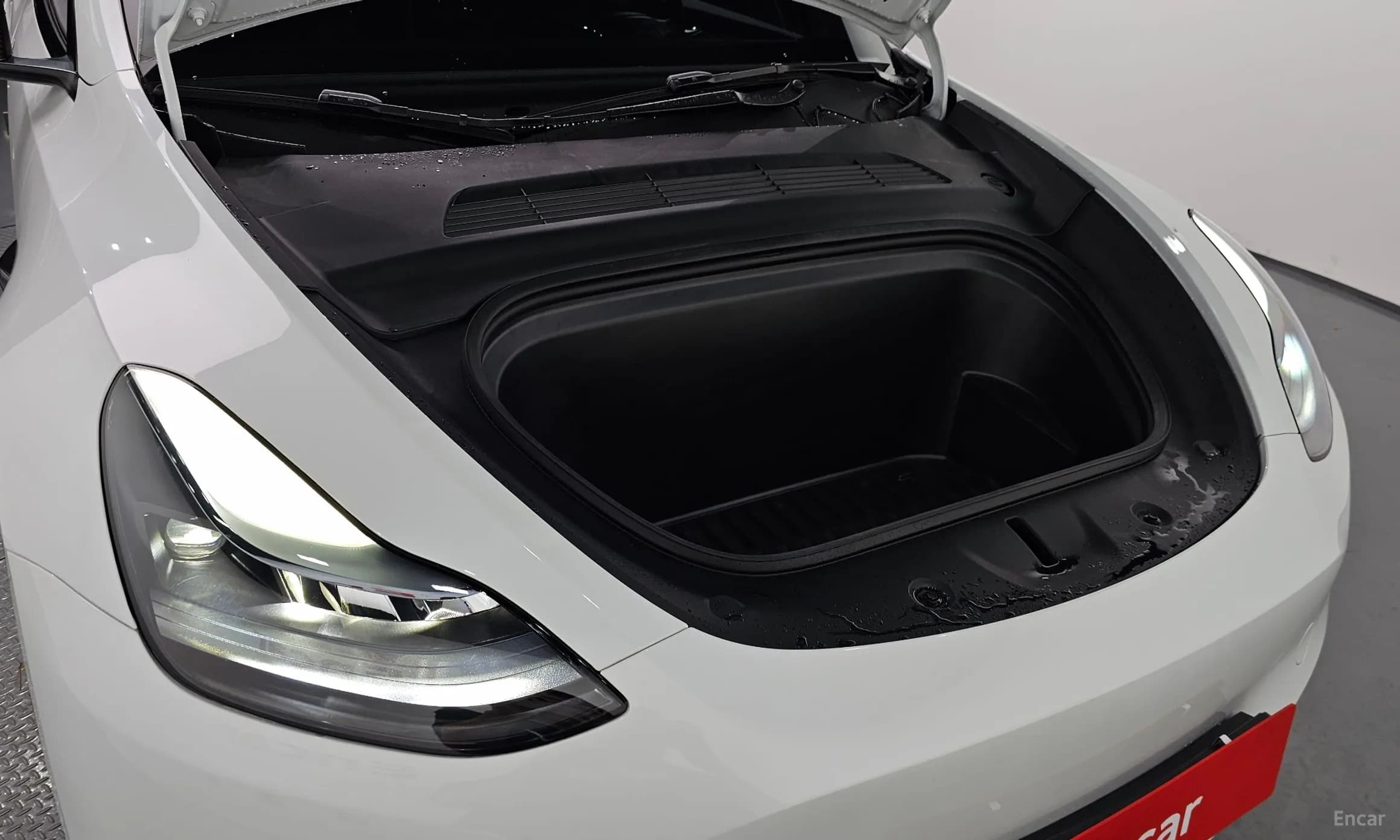 Model Y