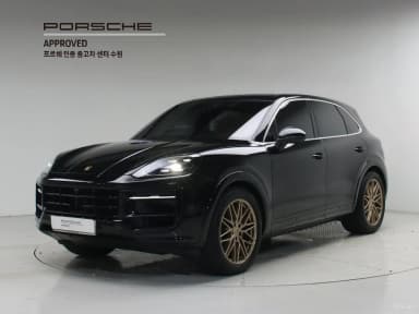 Cayenne (PO536)