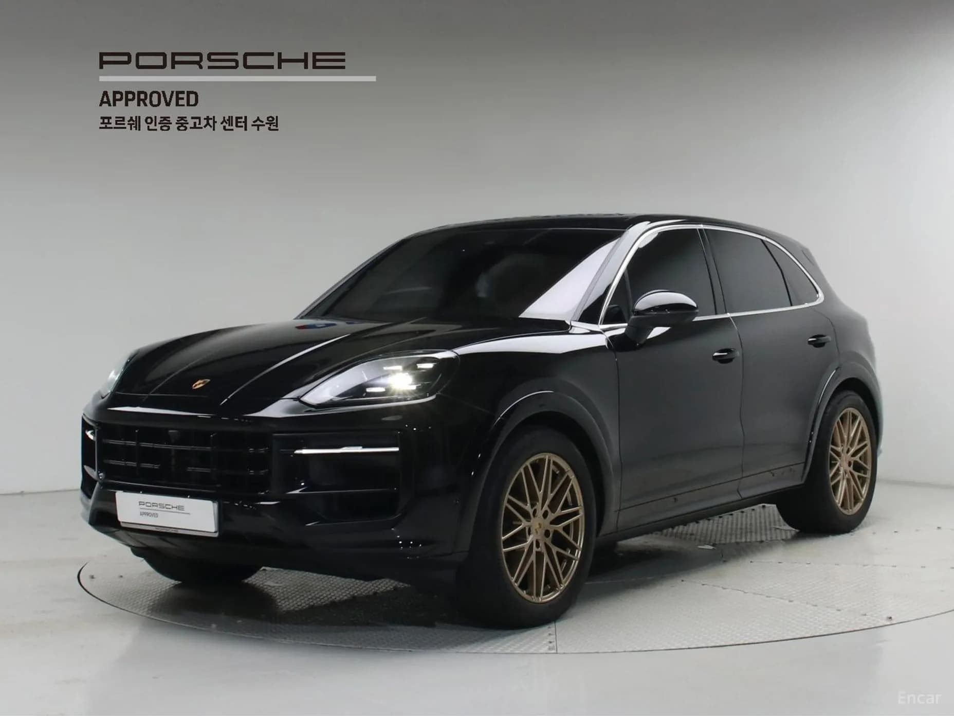 Cayenne (PO536)
