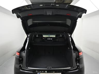 Cayenne (PO536)