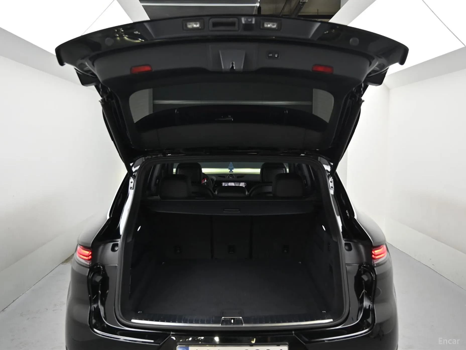 Cayenne (PO536)