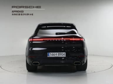 Cayenne (PO536)