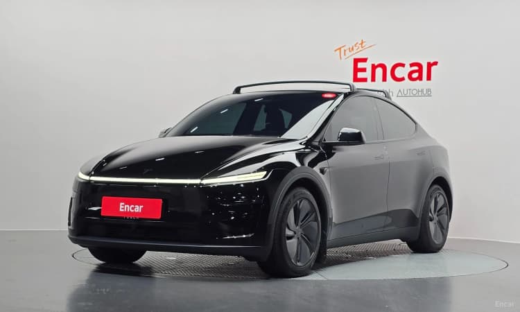 Model Y