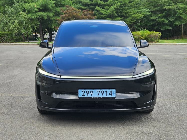 Model Y