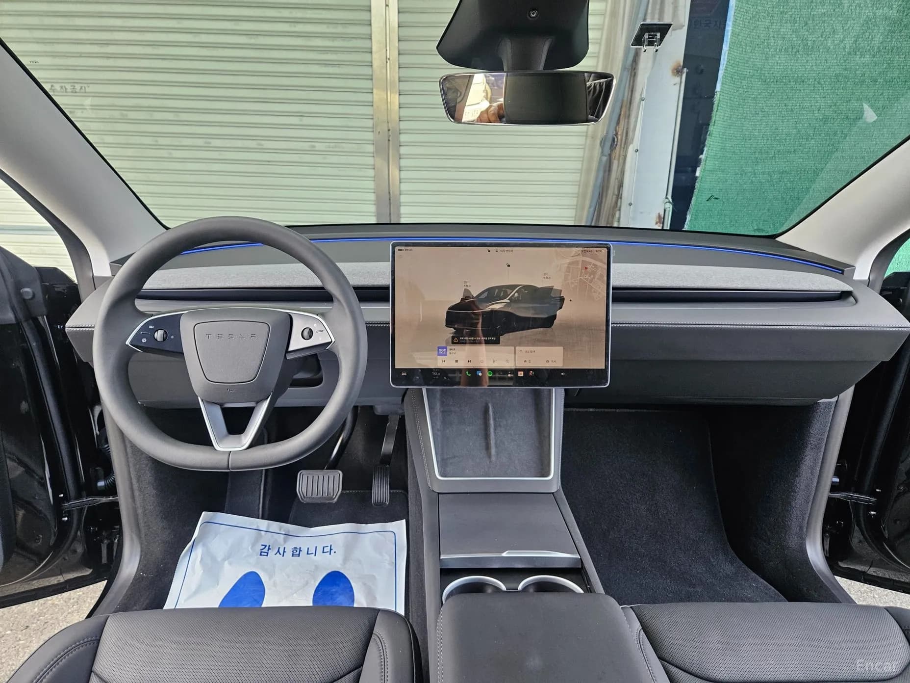 Model Y