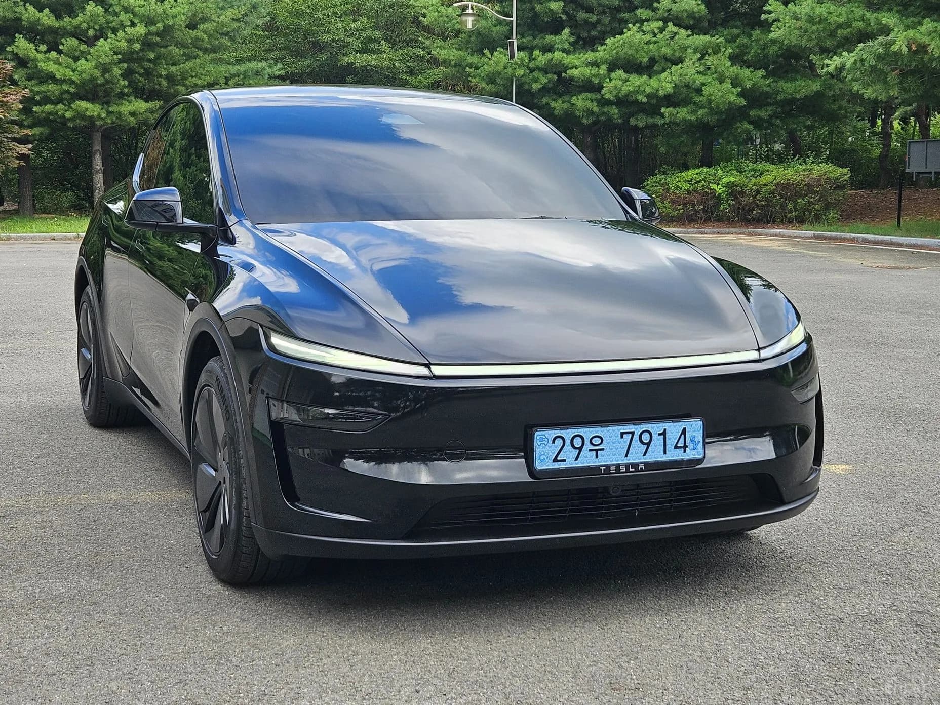Model Y