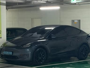 Model Y