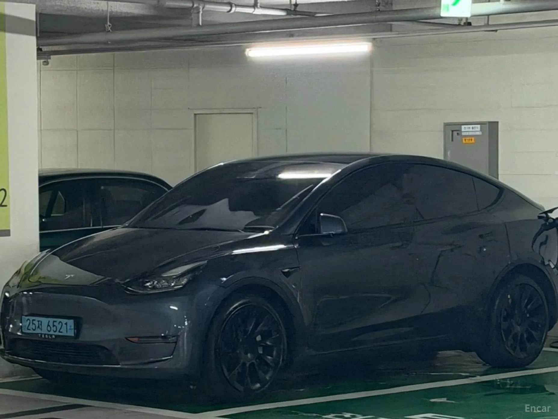 Model Y