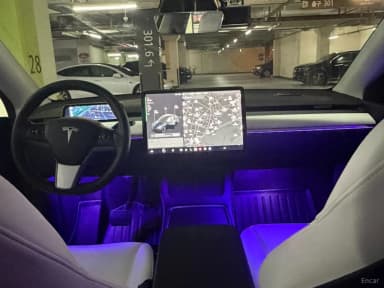 Model Y