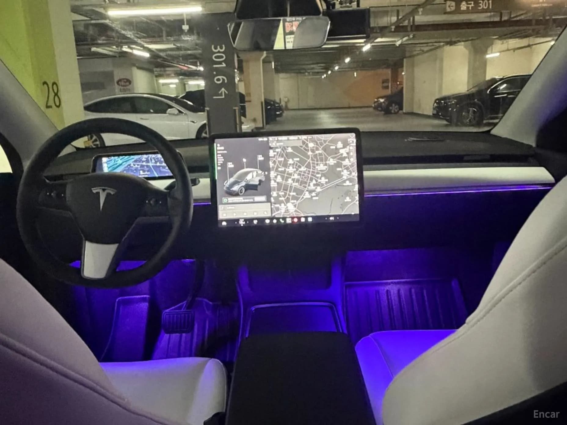 Model Y