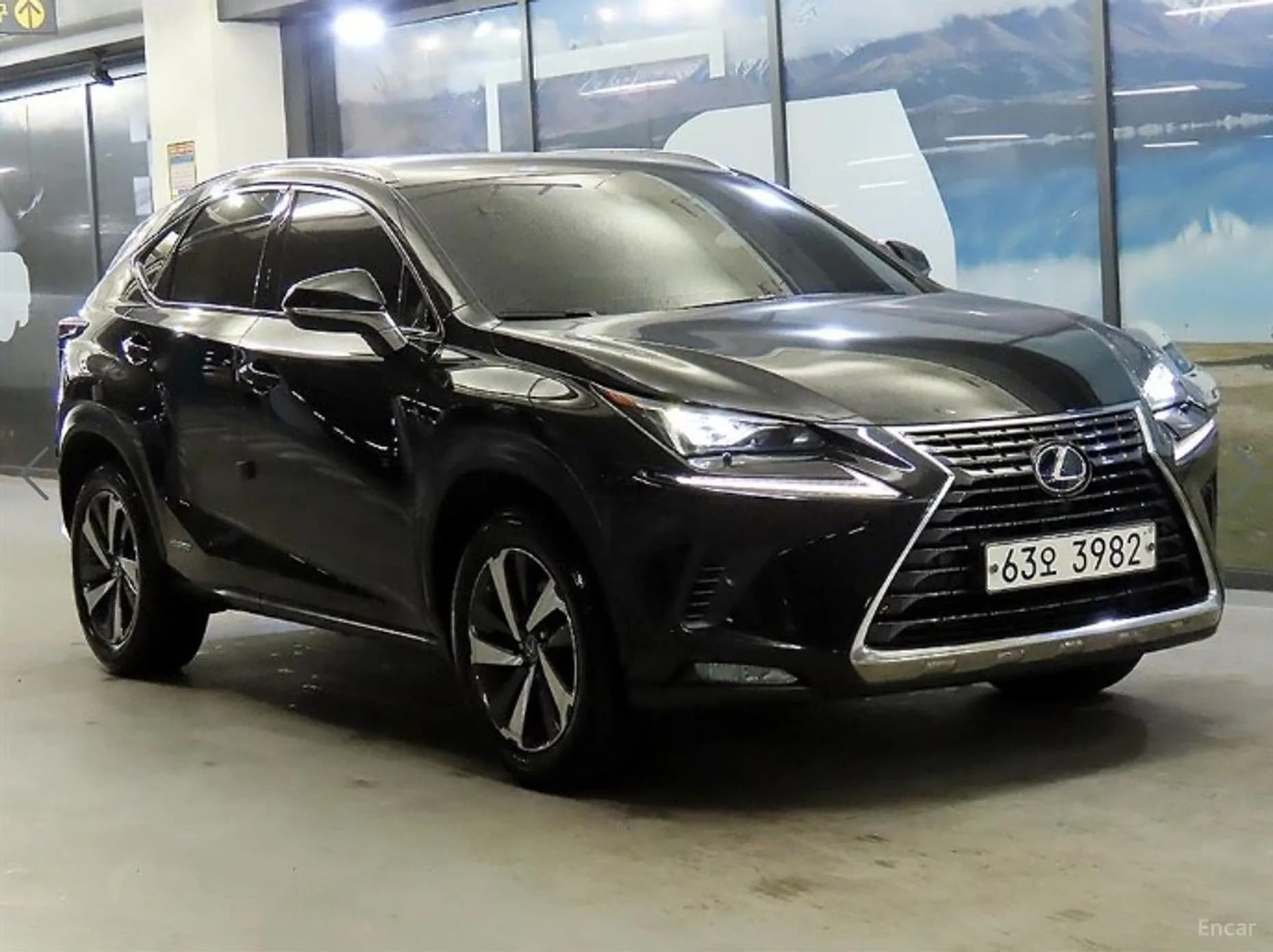 NX300h