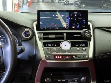 NX300h