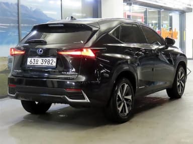 NX300h