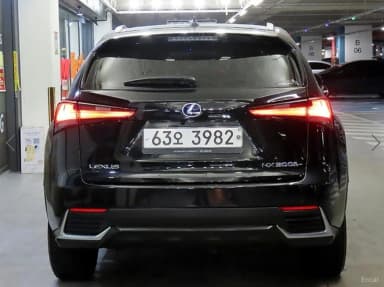 NX300h