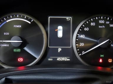 NX300h