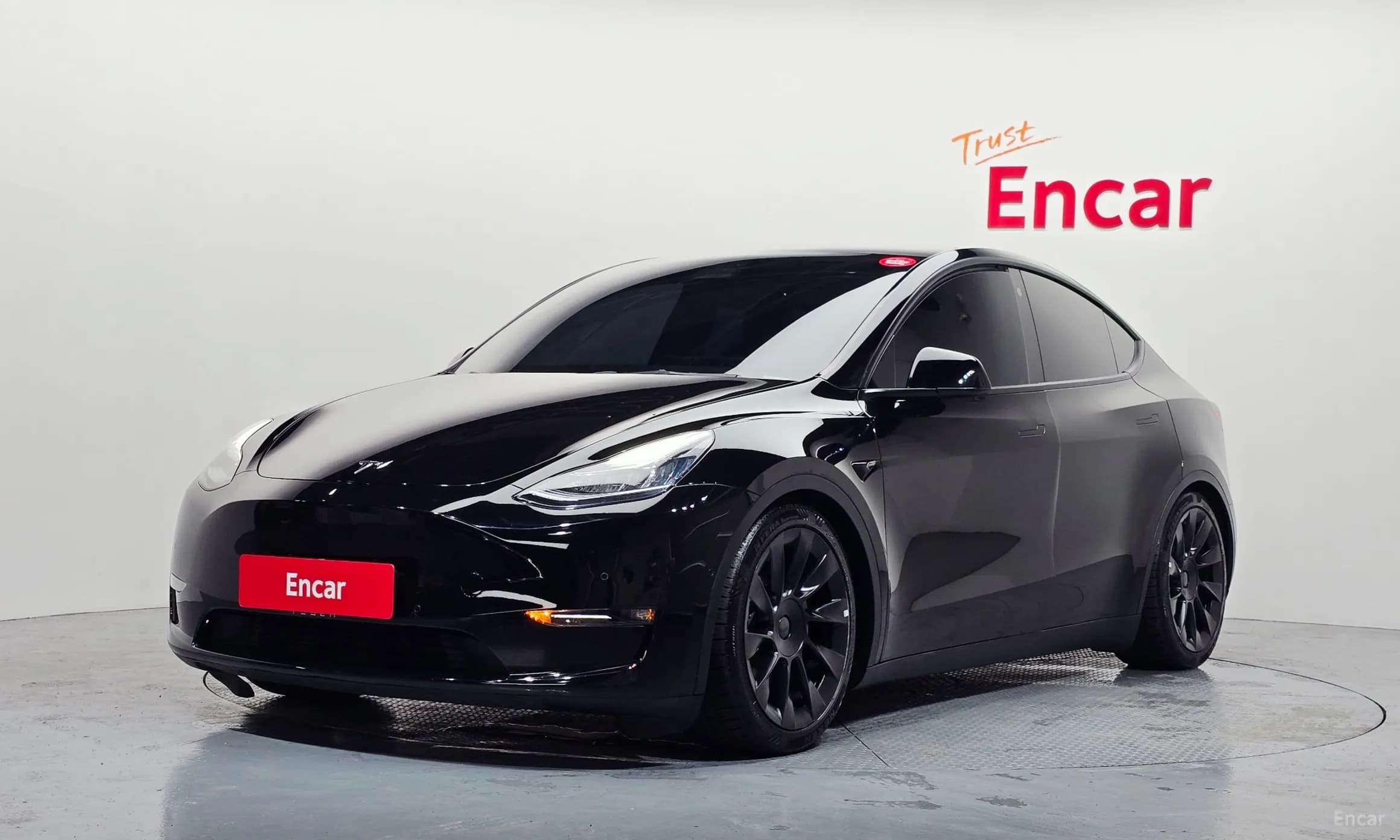 Model Y