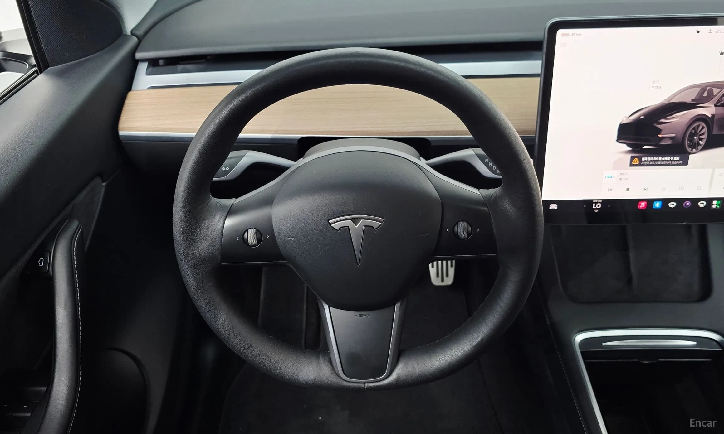 Model Y