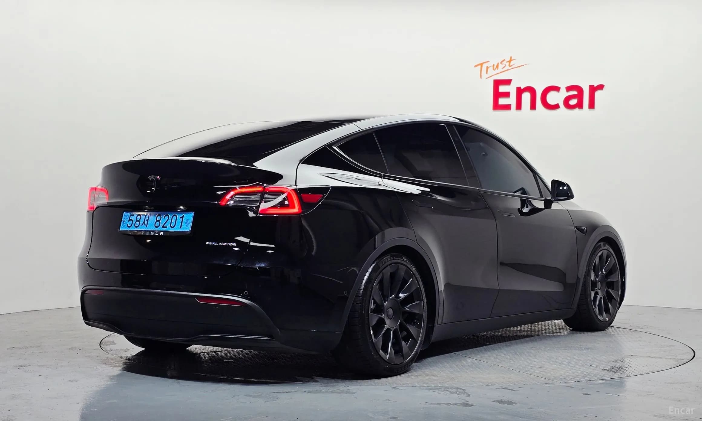 Model Y
