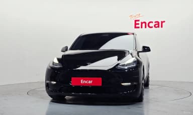 Model Y