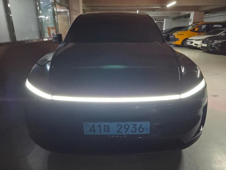 Model Y