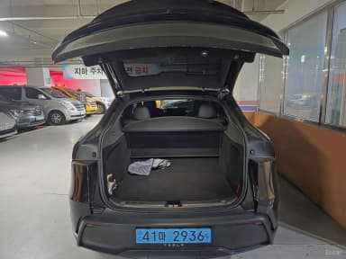 Model Y