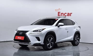 NX300h