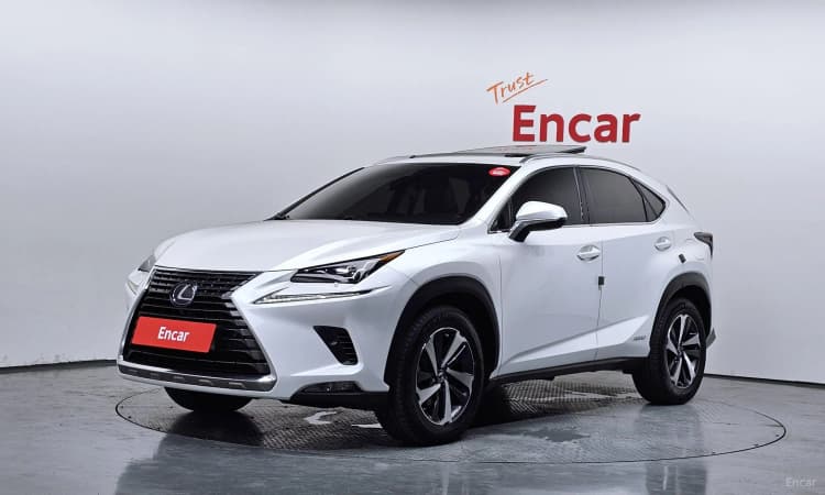 NX300h