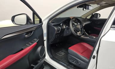 NX300h
