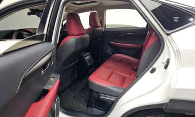 NX300h