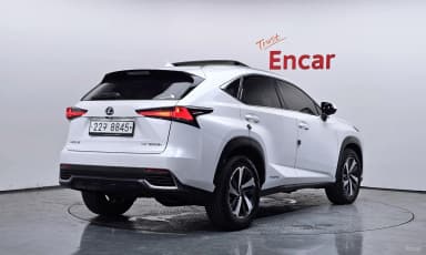 NX300h