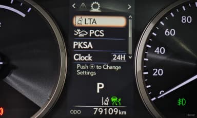 NX300h
