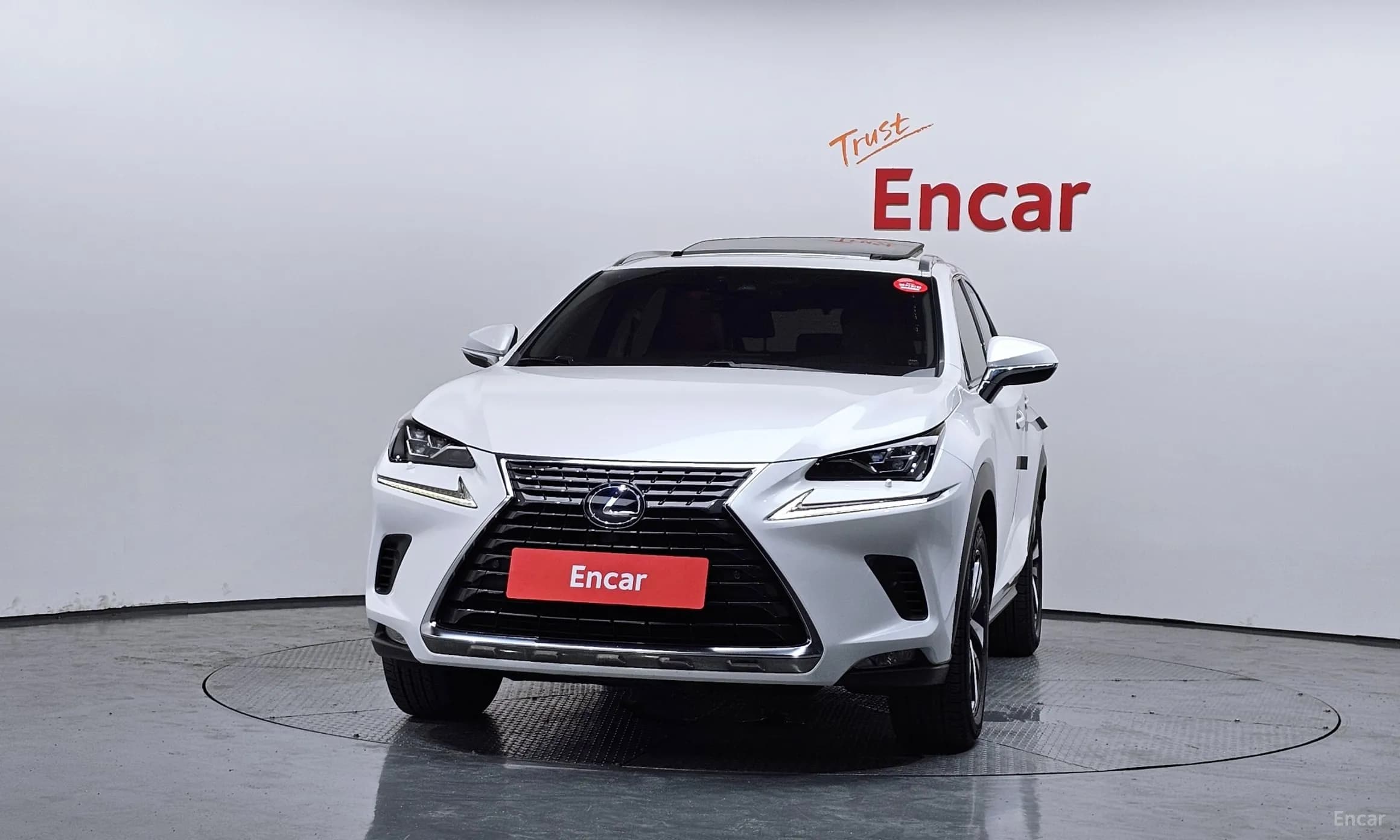 NX300h