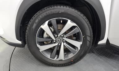 NX300h