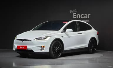 Model X