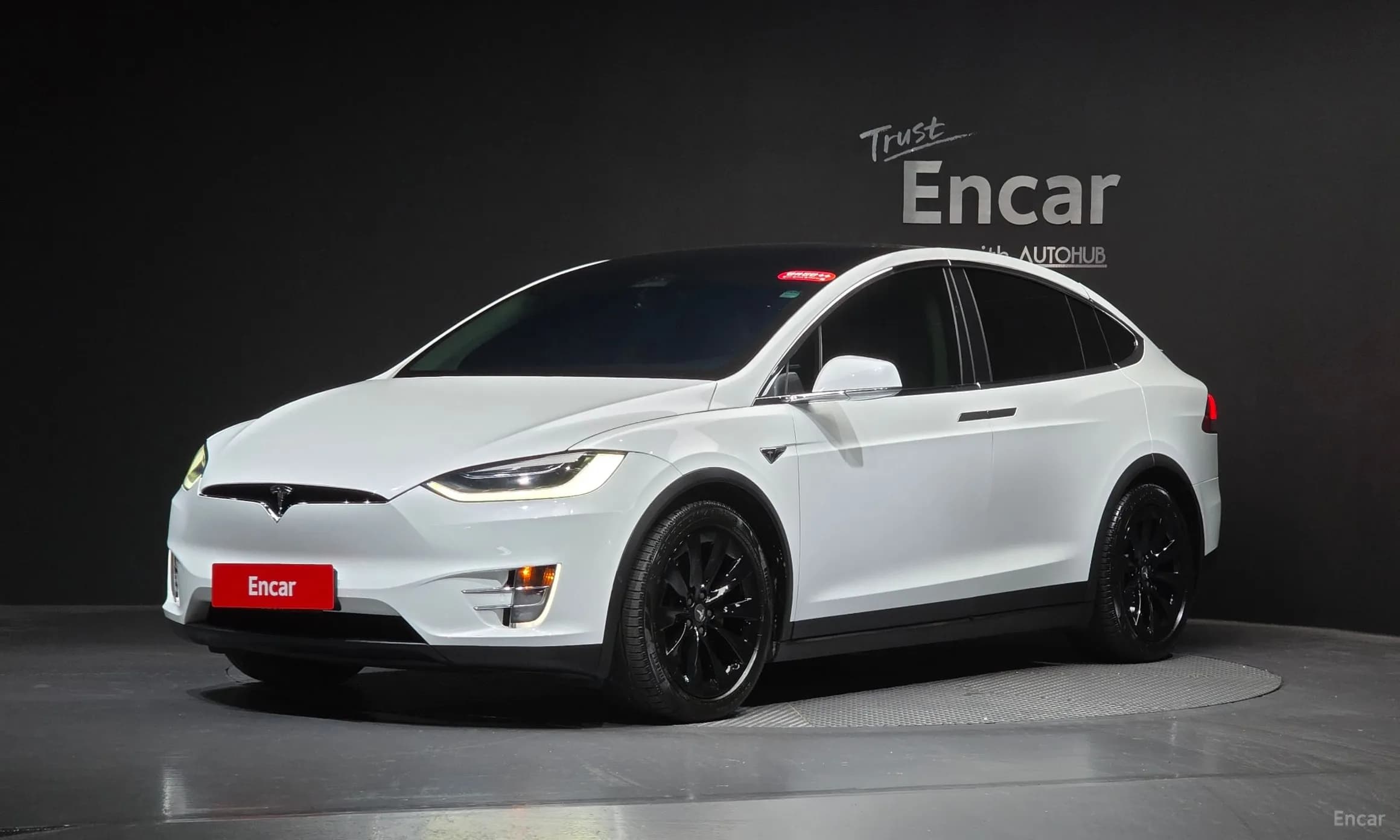 Model X