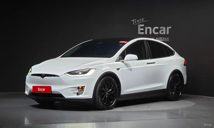 Model X