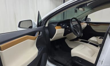 Model X