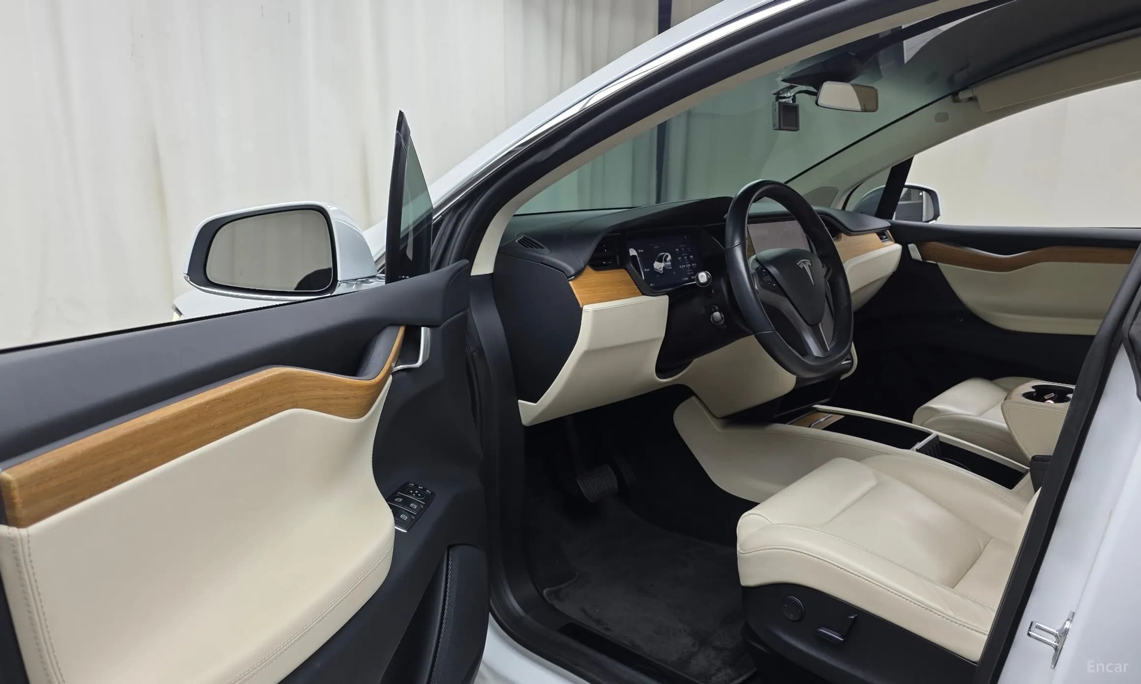 Model X