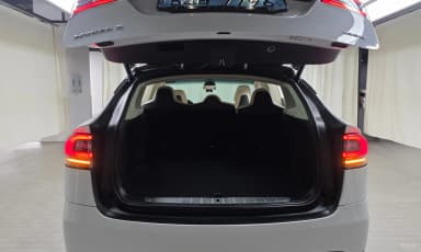 Model X