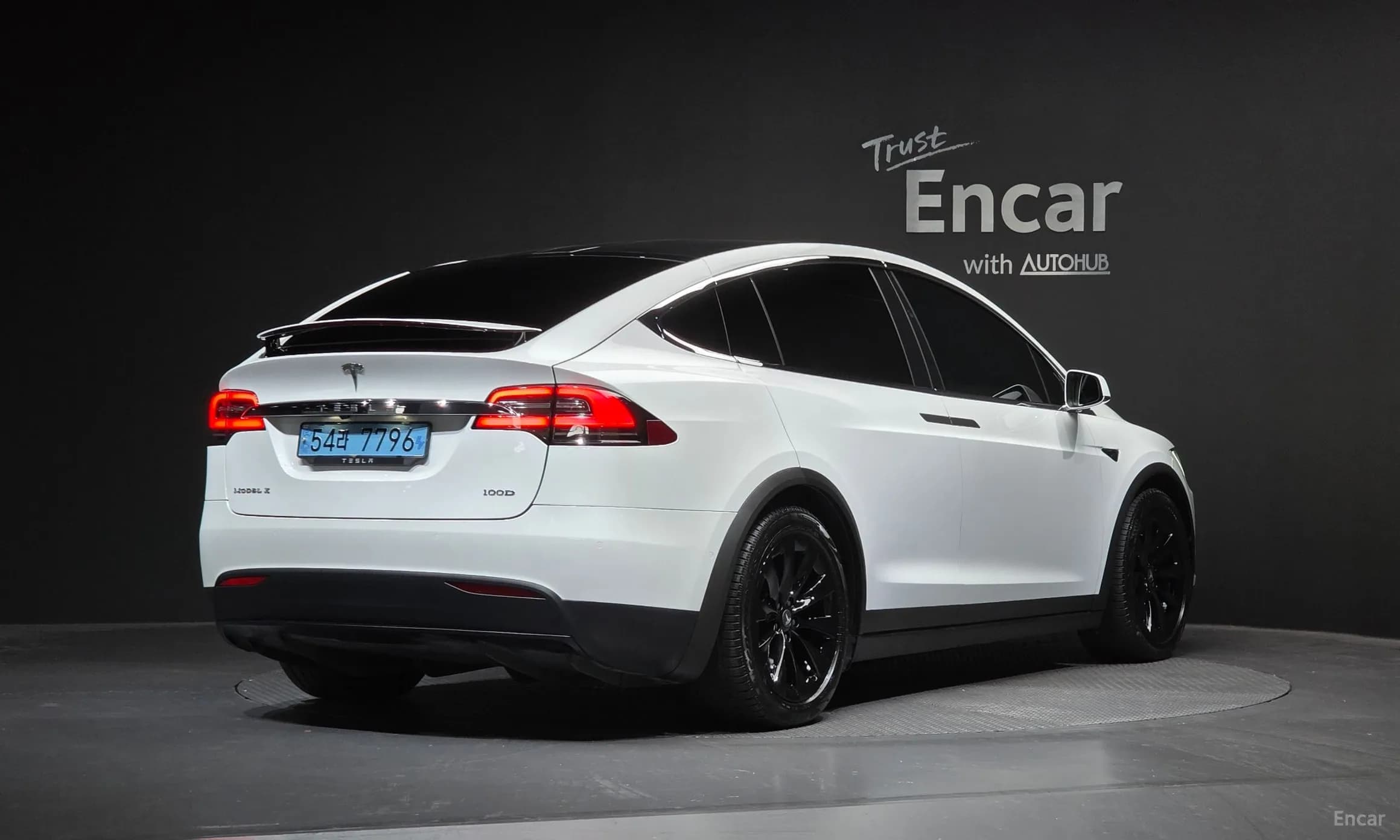 Model X