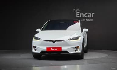 Model X