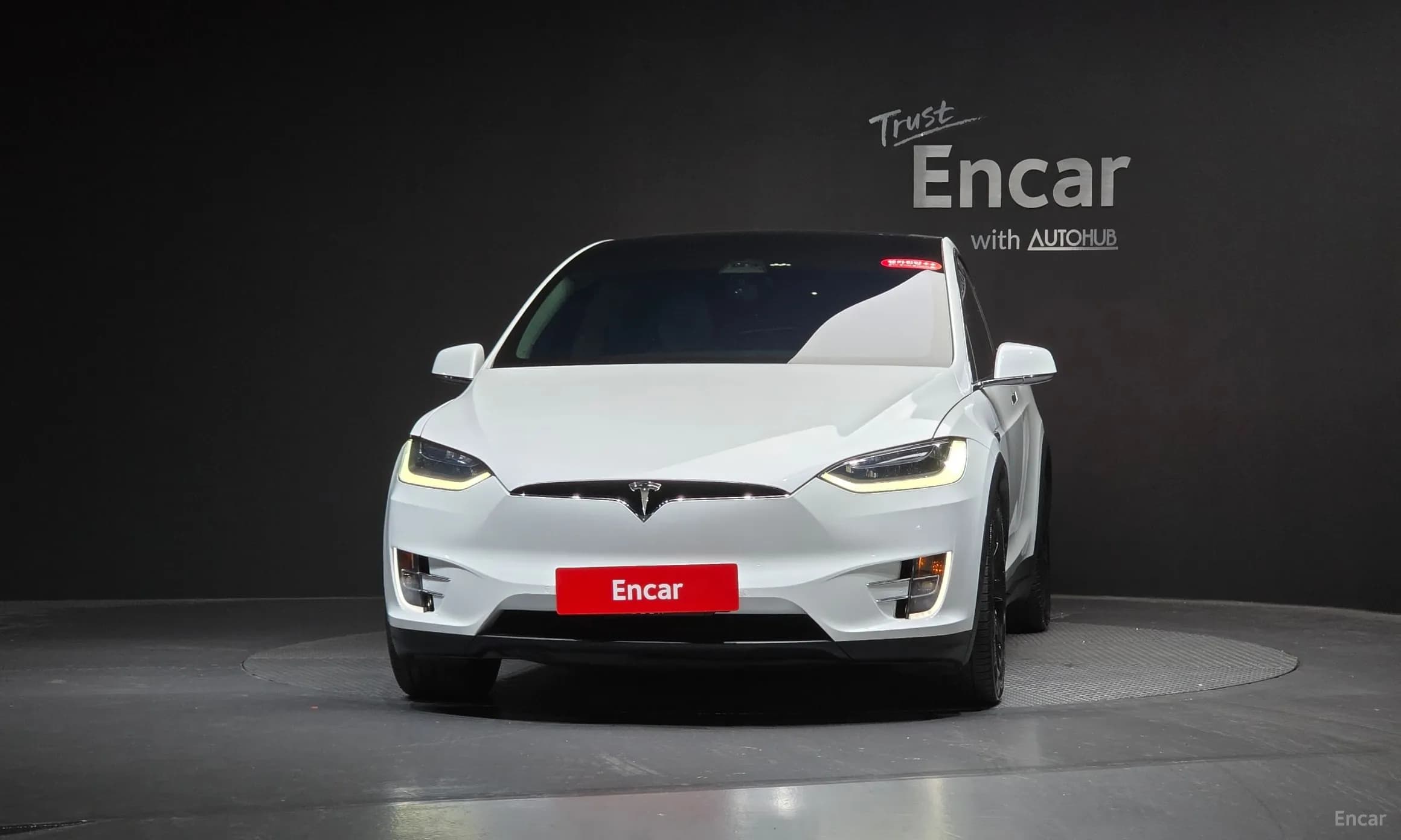 Model X