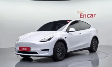 Model Y