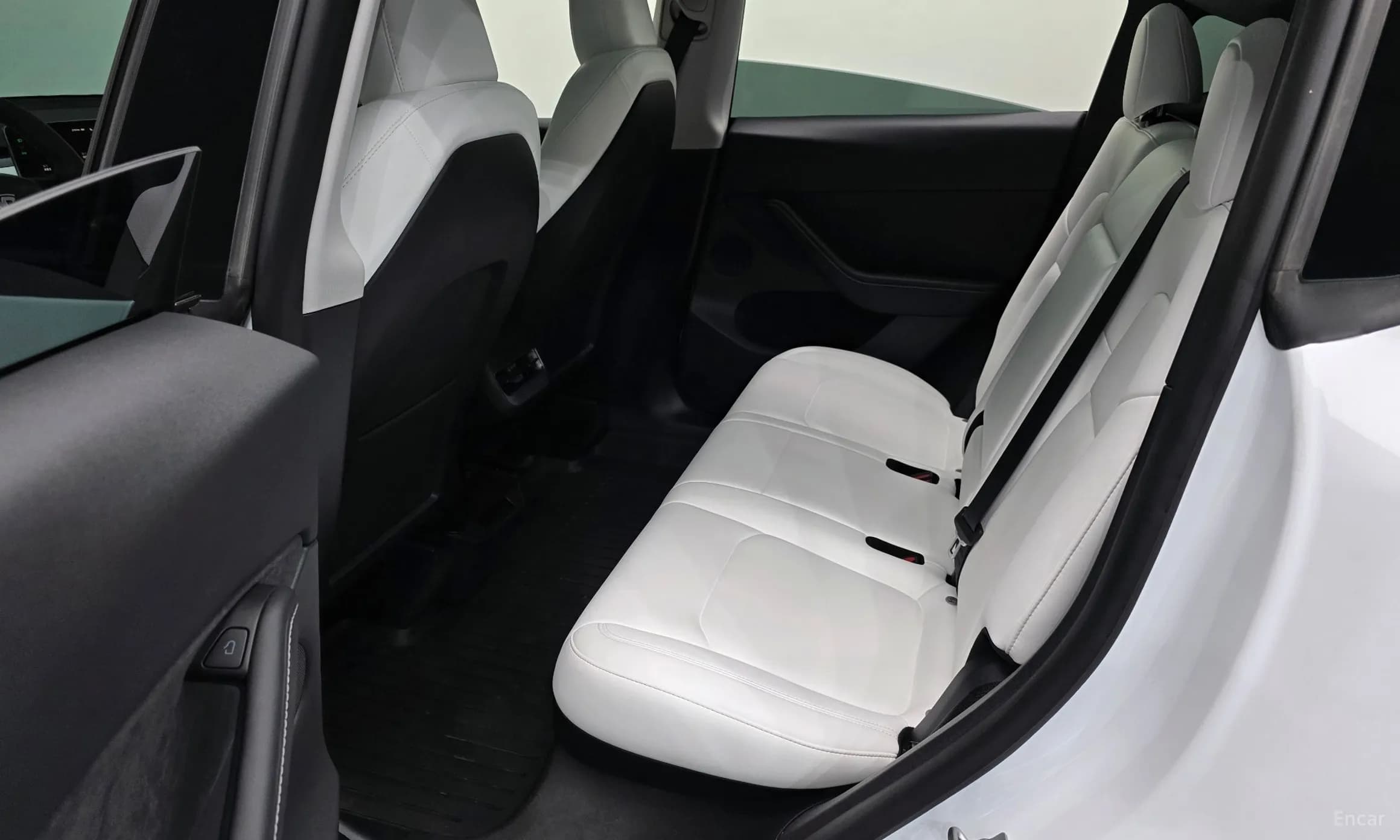 Model Y