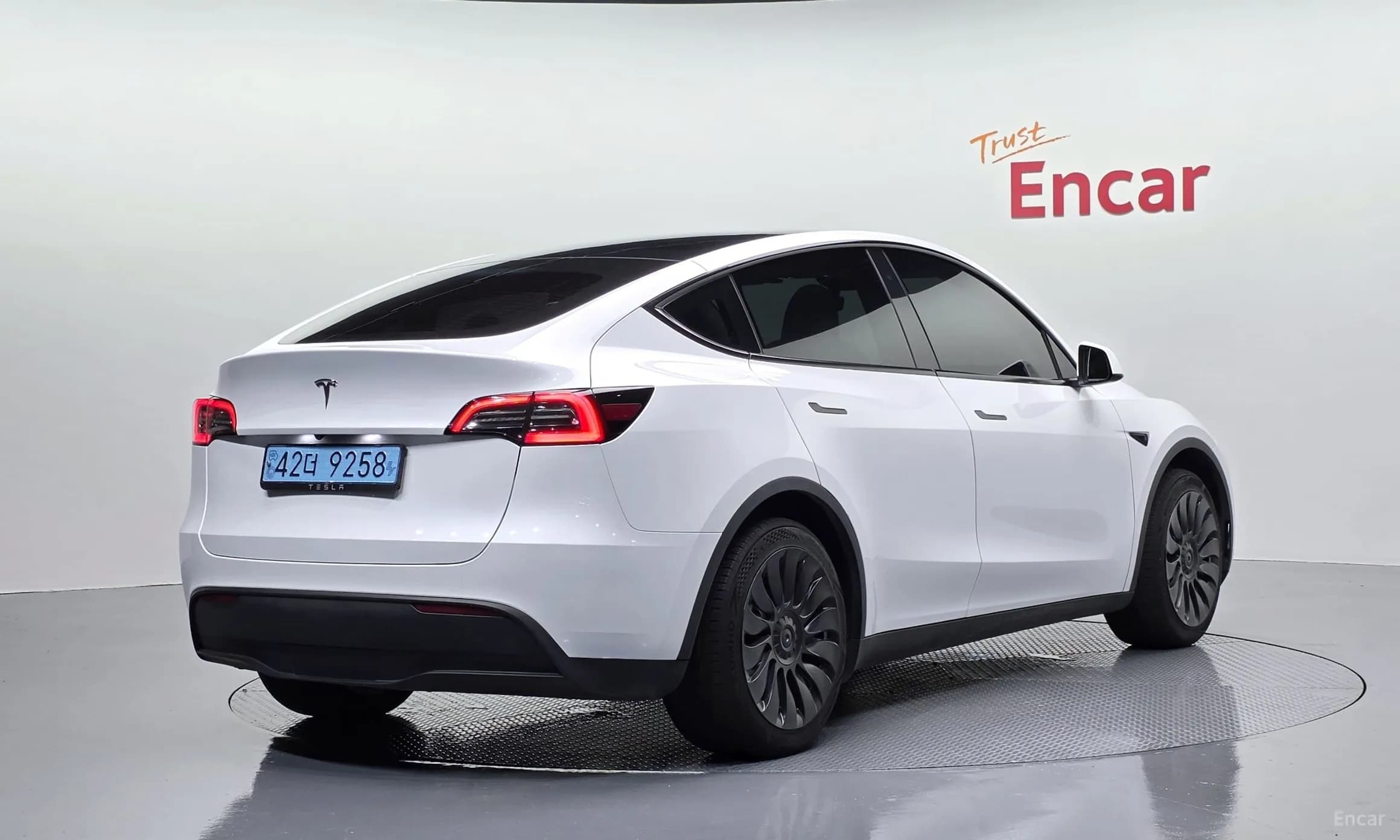Model Y