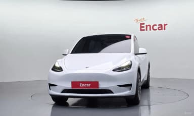Model Y