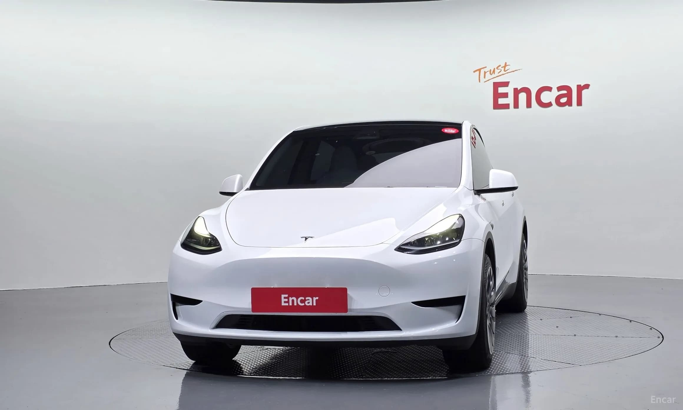 Model Y