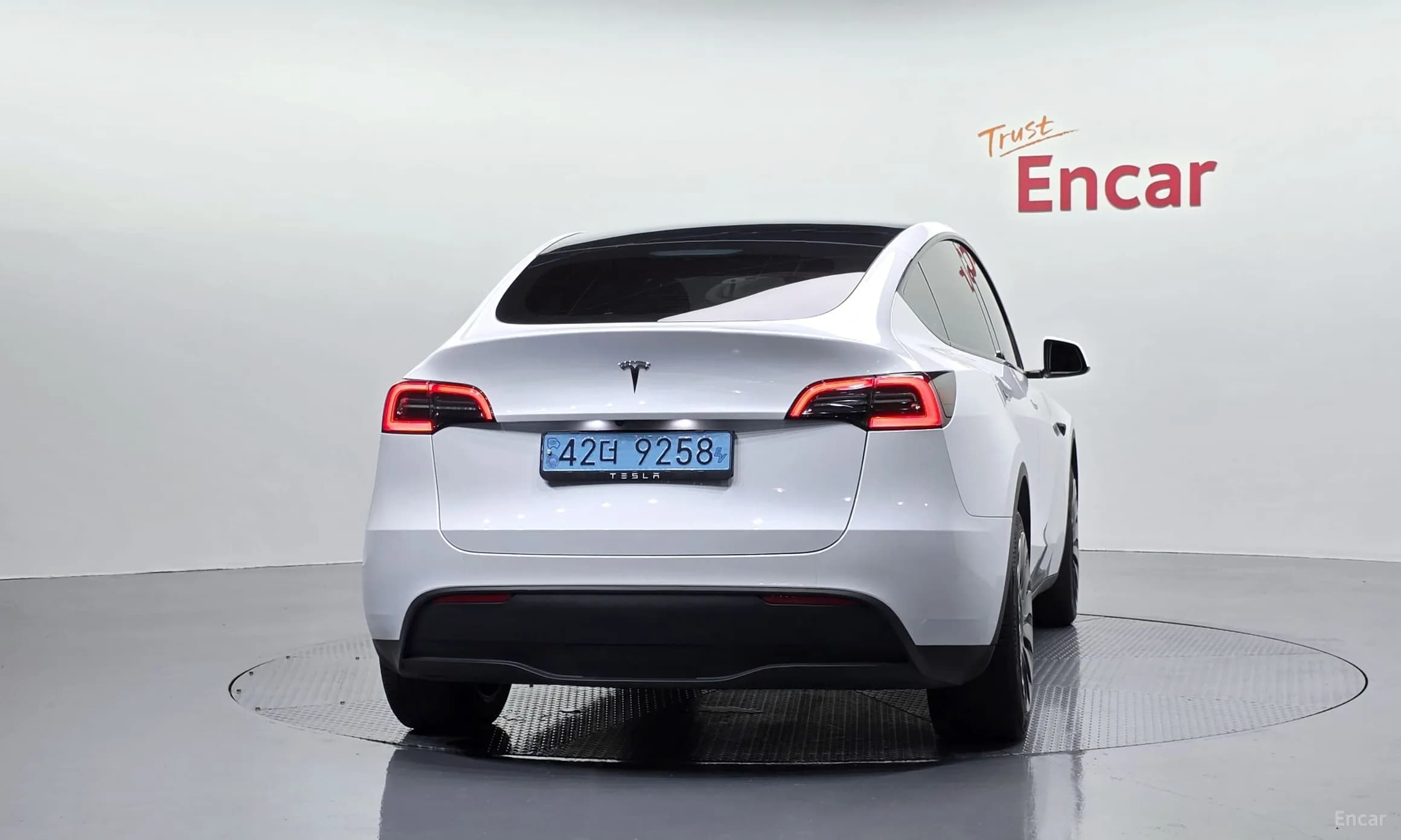 Model Y