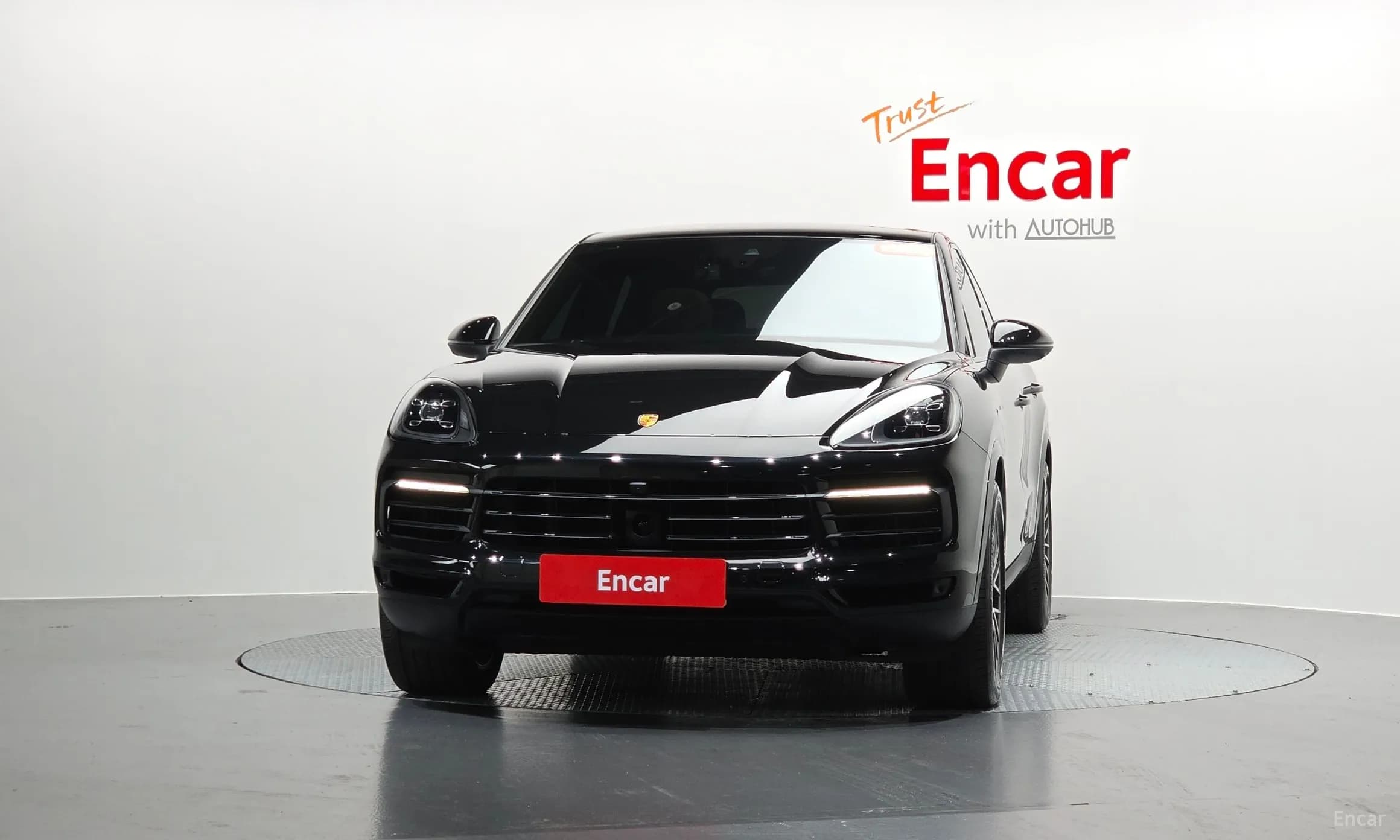 Cayenne (PO536)